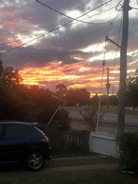 chinchilla buy swap and sell|Dalby Area, QLD .